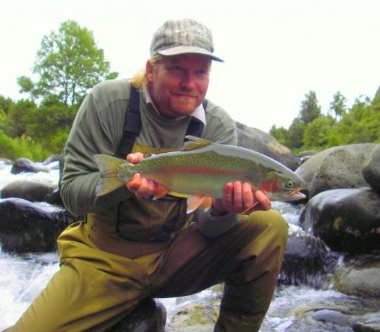 Tui Lodge Turangi Dış mekan fotoğraf